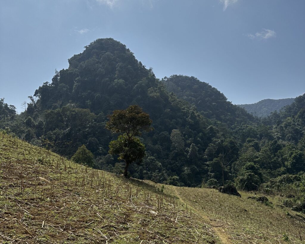 A trail photographed while exploring Northern Vietnam by motorbike.