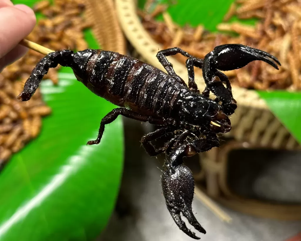 A scorpio snack sold by a street food vendor in Thailand.